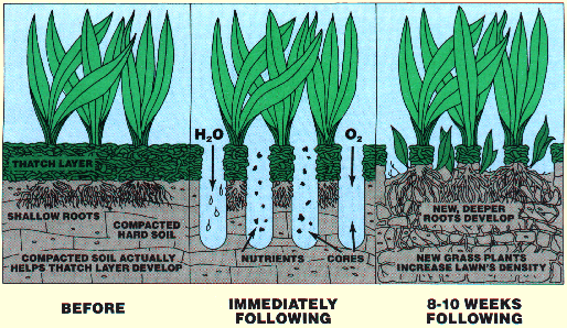 aeration-before-after